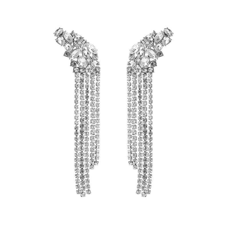 European And American Ins Earrings Exaggerated Long Alloy