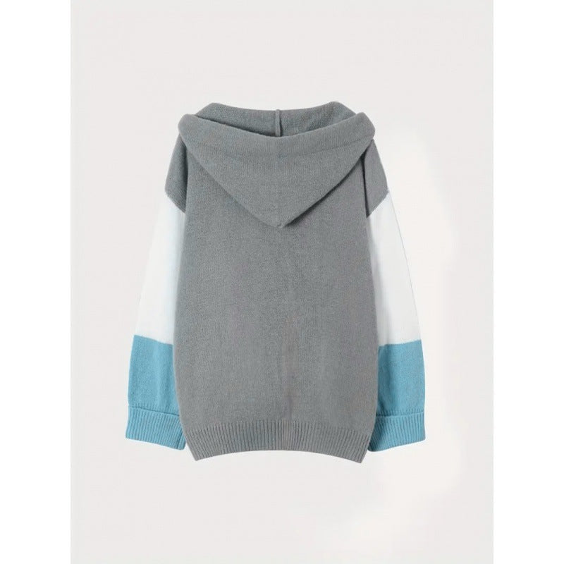 Versatile Long Sleeved Hooded Woolen Knitted Sweater
