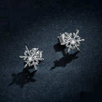 Aifule Irregular Round Earrings S925 Inlaid Customer Designed