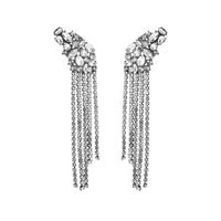 European And American Ins Earrings Exaggerated Long Alloy