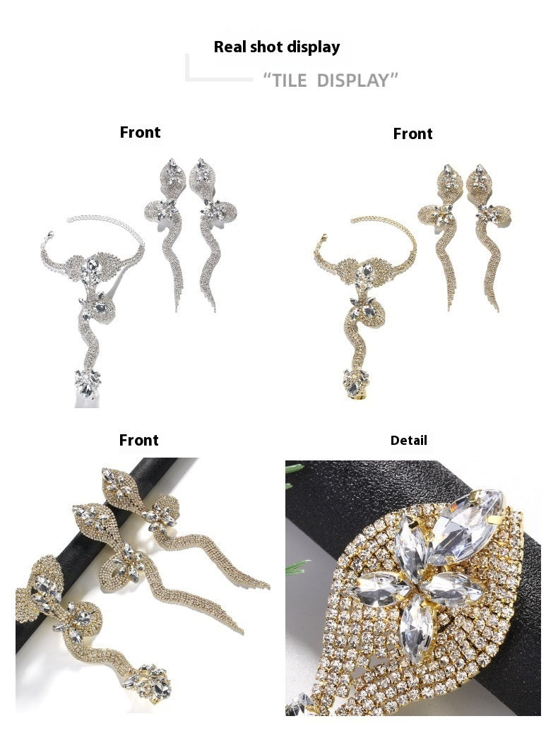 Niche Design Rhinestone Snake Earrings