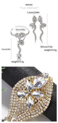 Niche Design Rhinestone Snake Earrings