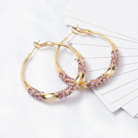 Fashion Circle Zircon Earrings Special-interest Design