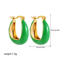 Colorful Oil Necklace Enamel French Earrings
