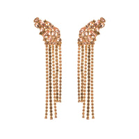 European And American Ins Earrings Exaggerated Long Alloy