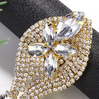 Niche Design Rhinestone Snake Earrings