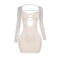 Autumn Lace Long Sleeve Hollow-out Hip Bag Dress