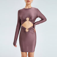 Sexy Cut Out Round Neck Long Sleeve Mini Dress