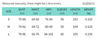 E22DS171 European And American Women's Clothing Summer New Mesh Casual Printed Backless Long Sleeves Lace-up Maxi Dress