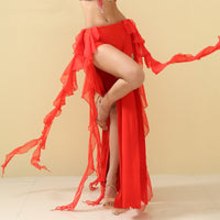 Oriental Dance Dancing Sexy Performance Costume Skirt