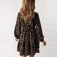 Leopard Print Long Sleeve Dress Women
